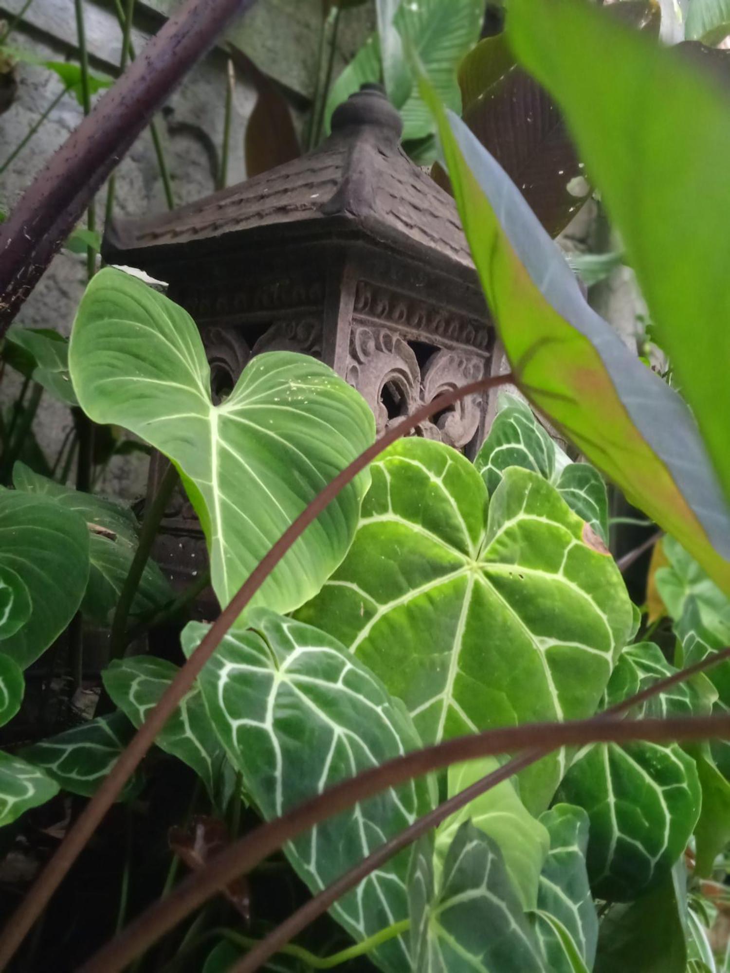 Maison d'hôtes Tanah Semujan Ubud